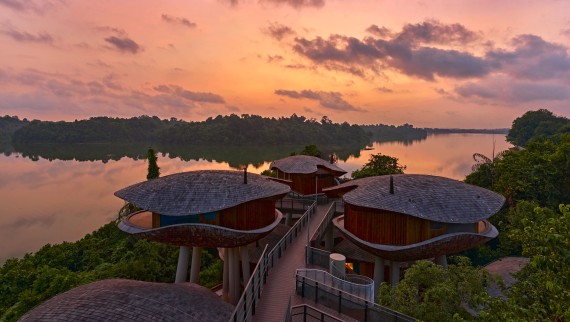 Casas inspiradas em vagens de sementes no Mandai Rainforest Resort (© Banyan Tree)