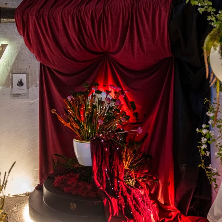 Geberit Tens uma flor ©jcvega Geberit Tens uma flor ©jcvega